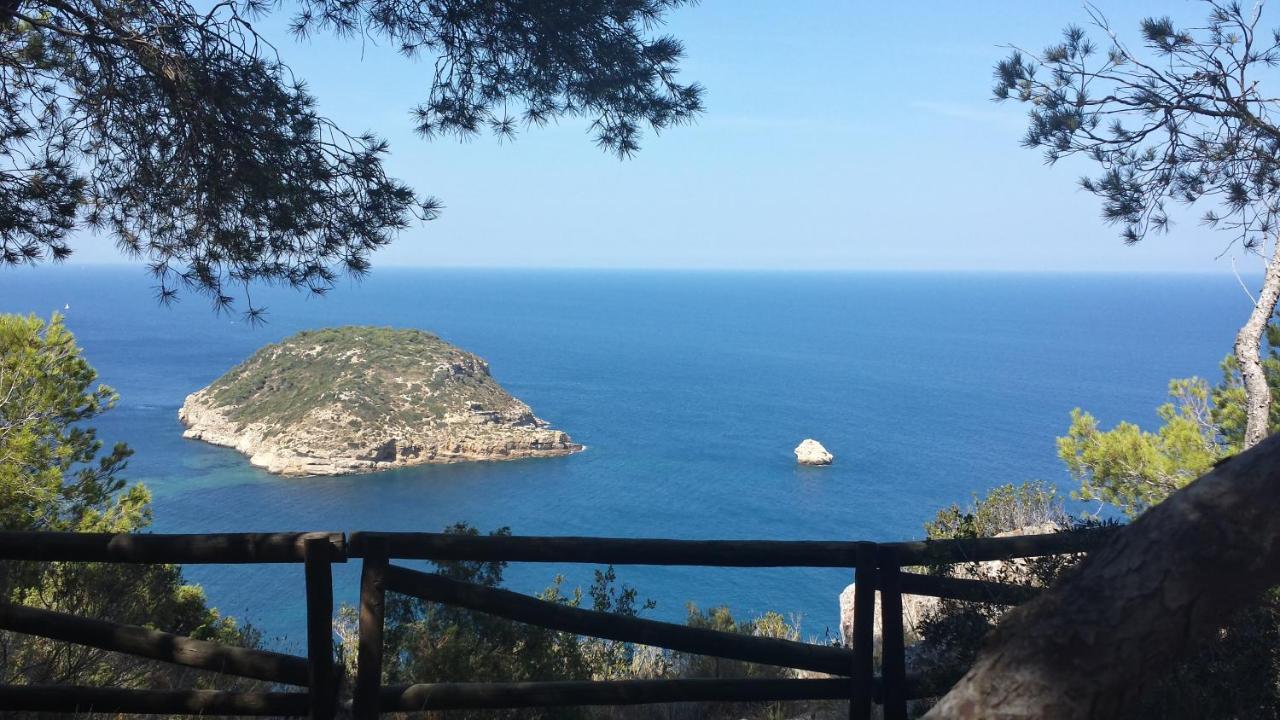 Javea Golden Beach 1 Arenal Beach Zewnętrze zdjęcie
